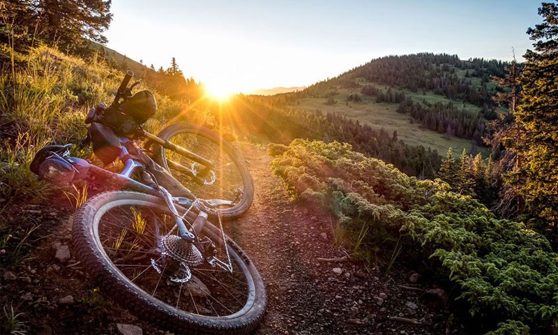 ut-voluptatem-beatae-ea-totam-ut